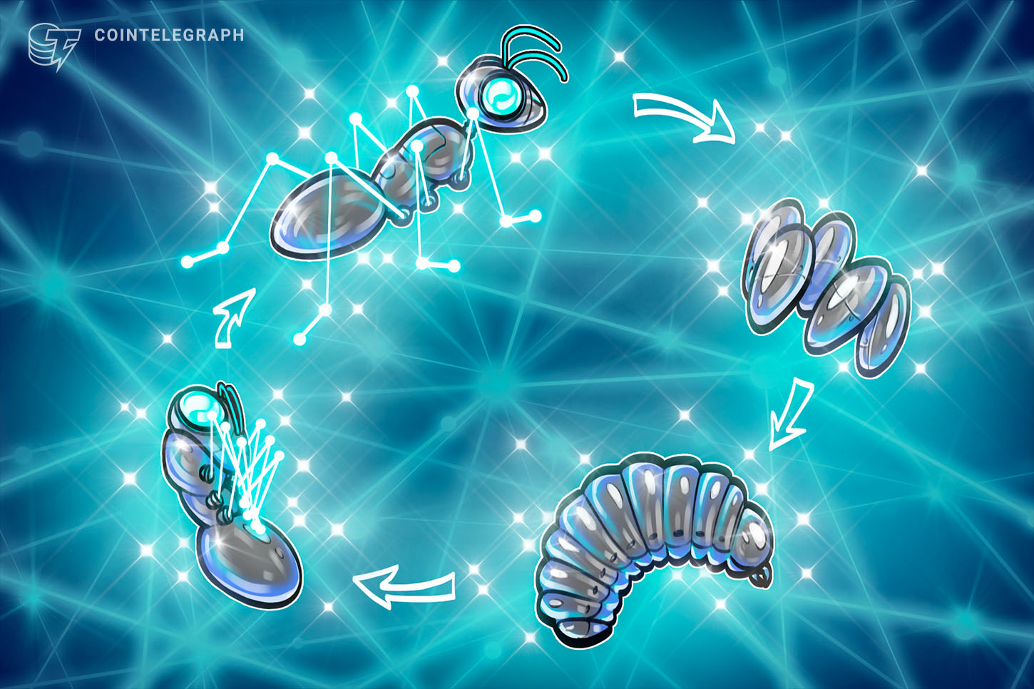 ビットコインの4年周期説は死んでいない？ 仮想通貨業界幹部「何らかの形で今後も続く」
